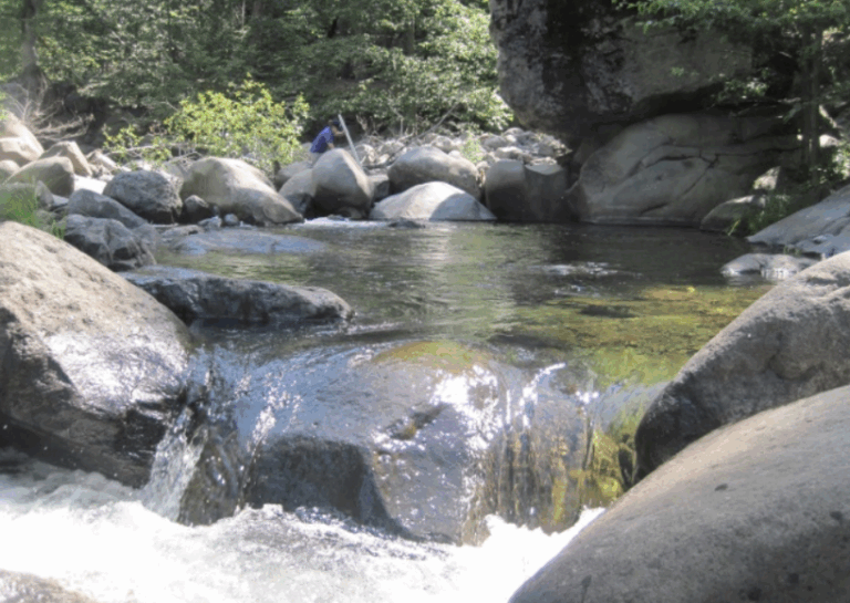 Battle Creek Row Img