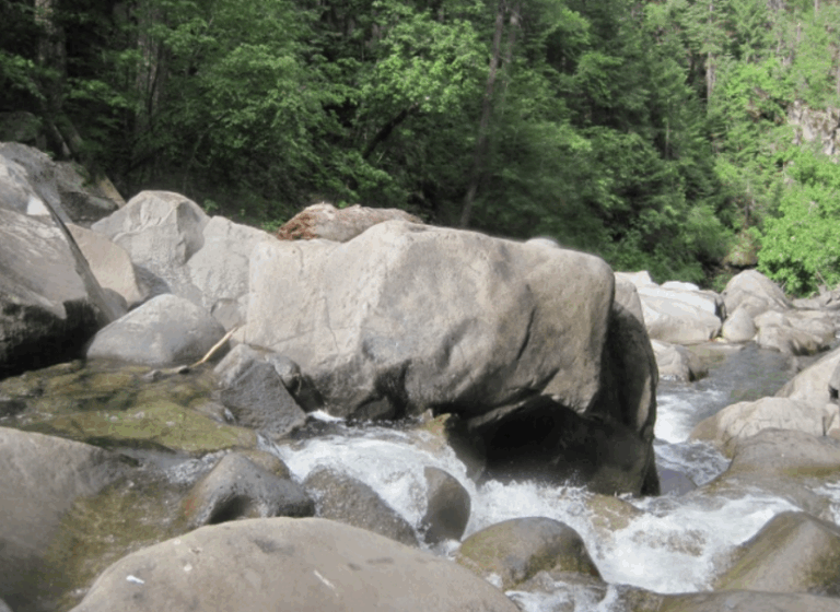 Battle Creek Row img 2