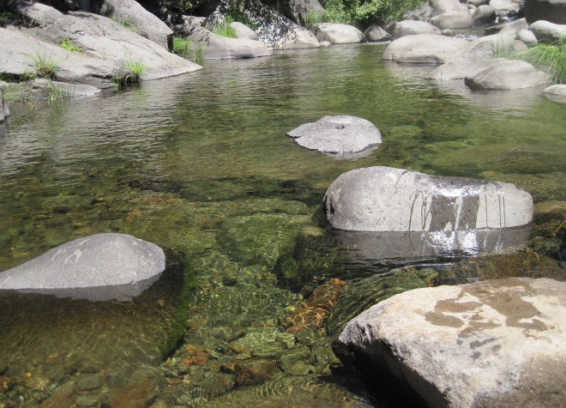 Chennel unit displaying a wood complexity