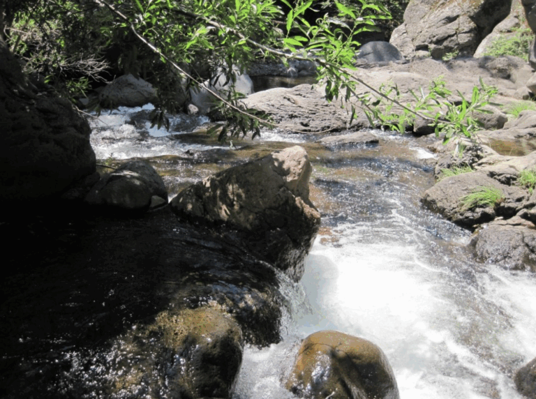 South Fork Battle Creek 2