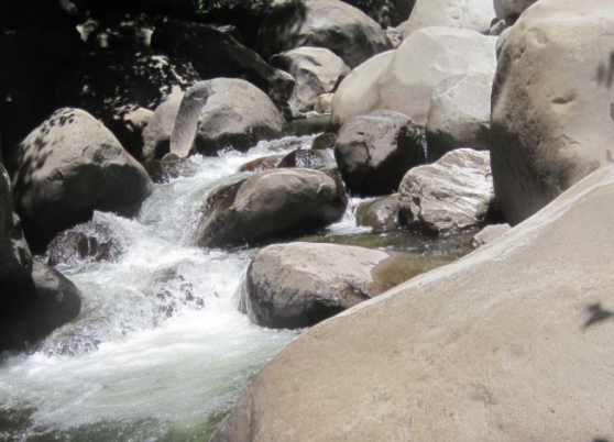 Typical rapid in Battle Creek